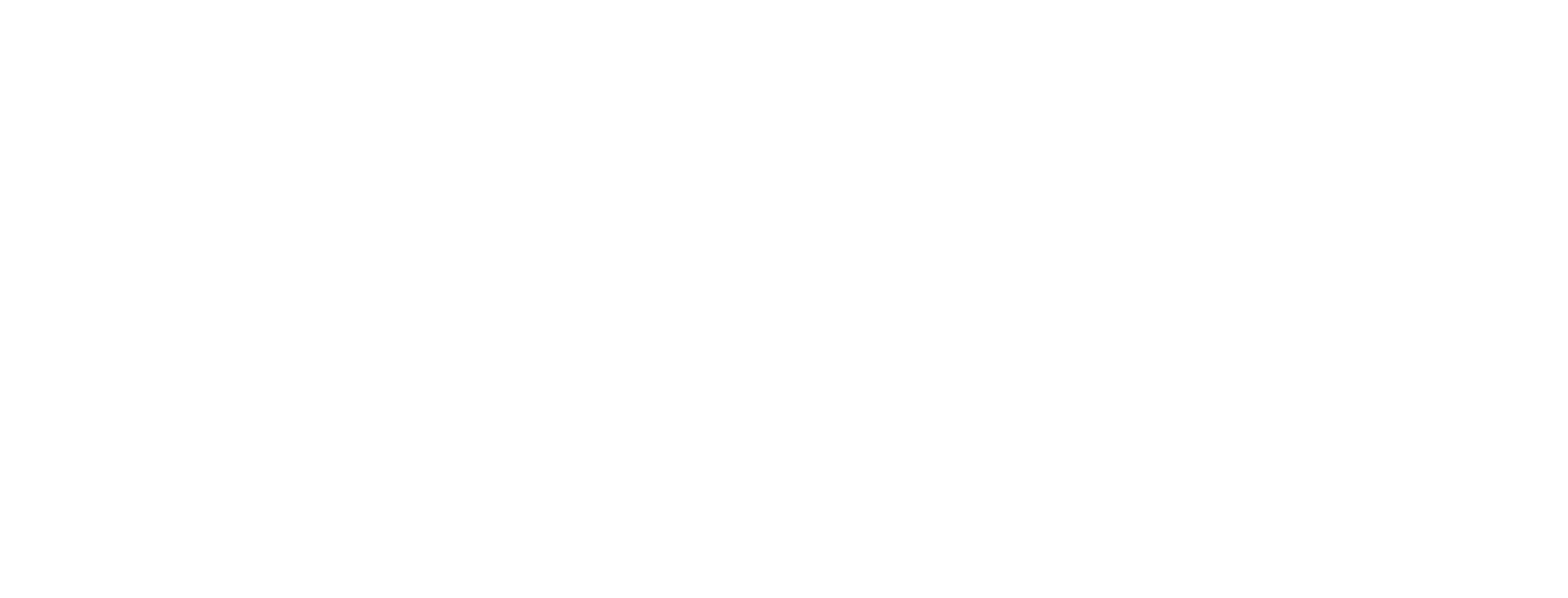 RVM Rudas Venture Management GmbH